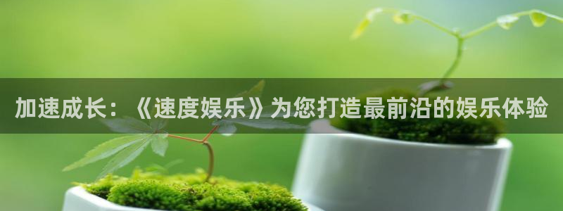 门徒娱乐：加速成长：《速度娱乐》为您打造最前沿的娱乐体验