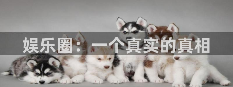 门徒娱乐：娱乐圈：一个真实的真相