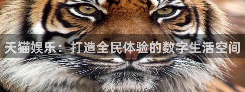 门徒娱乐官网首页：天猫娱乐：打造全民体验的数字生活空间