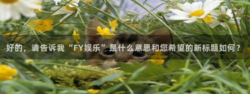 门徒娱乐下载：好的，请告诉我“FY娱乐”是什么意思和您希望的新标题如何？