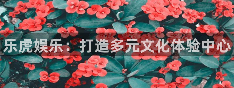 门徒娱乐主管网站：乐虎娱乐：打造多元文化体验中心