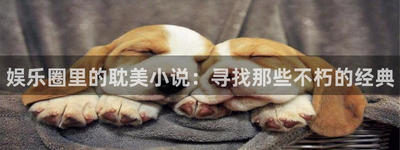 门徒娱乐主管网站：娱乐圈里的耽美小说：寻找那些不朽的经典