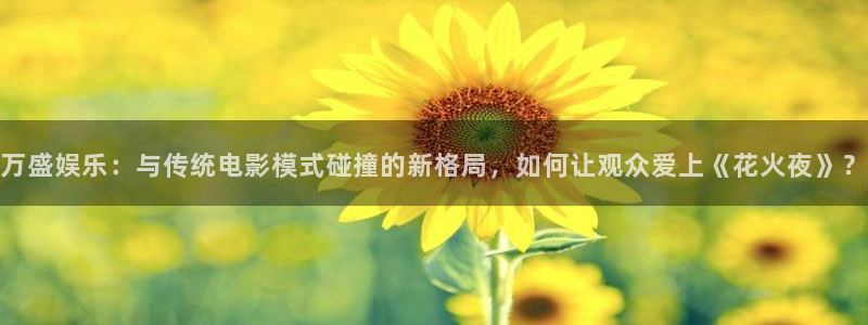 门徒娱乐旧版(老版本)：万盛娱乐：与传统电影模式碰撞的新格局，如何让观众爱上《花火夜》？
