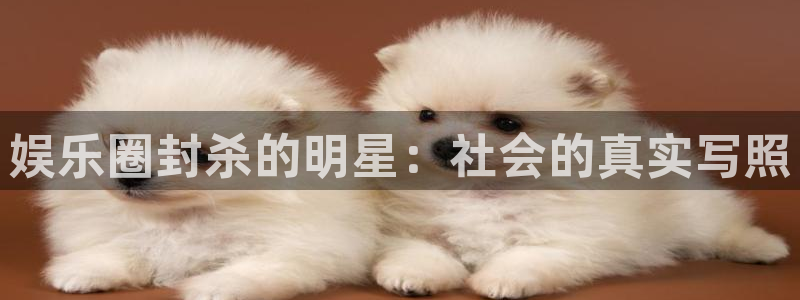 门徒娱乐代理：娱乐圈封杀的明星：社会的真实写照